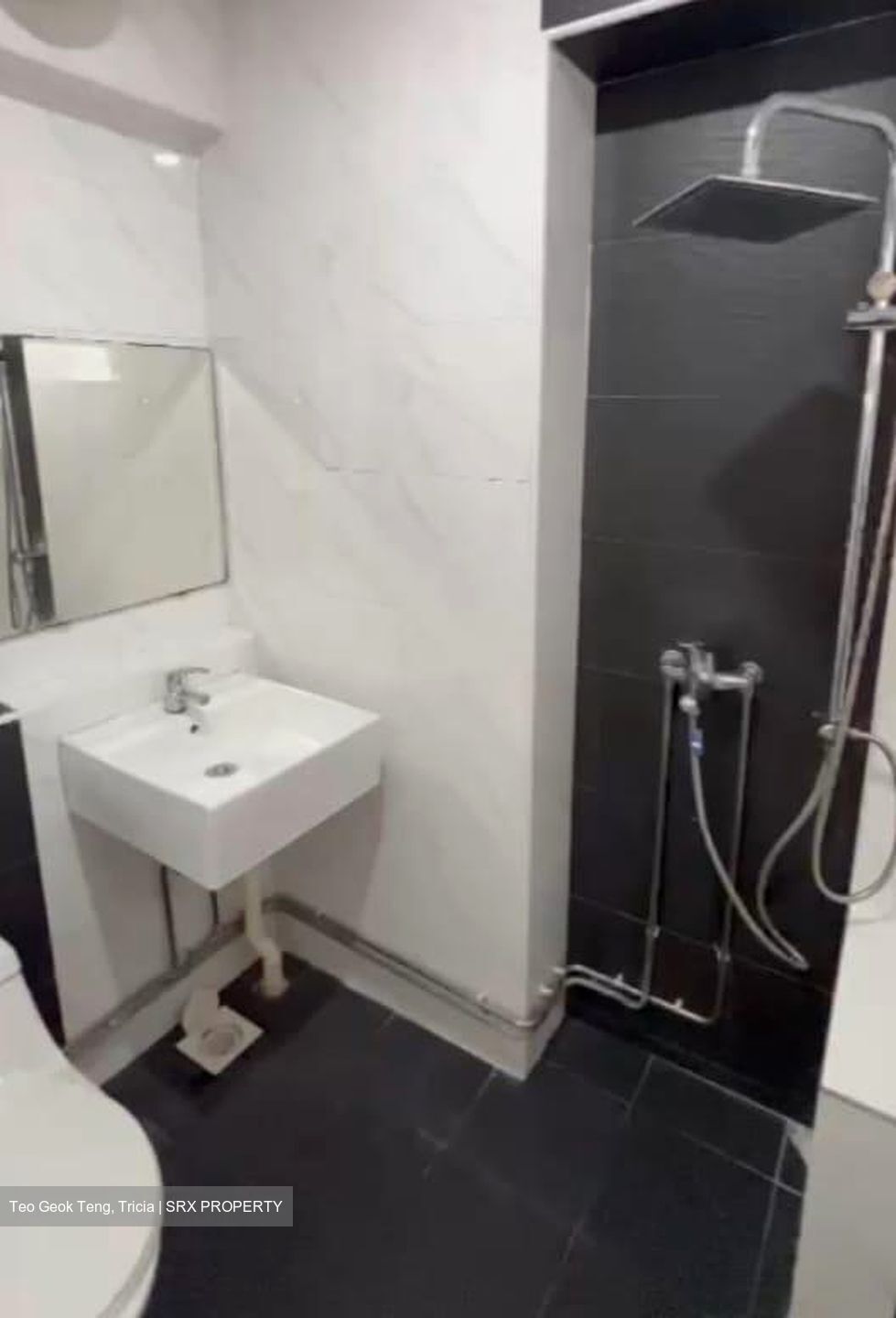 Blk 208 Pasir Ris Street 21 (Pasir Ris), HDB Executive #539294491